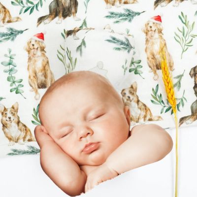 COUVERTURE BEBE | JOLIS ANIMAUX